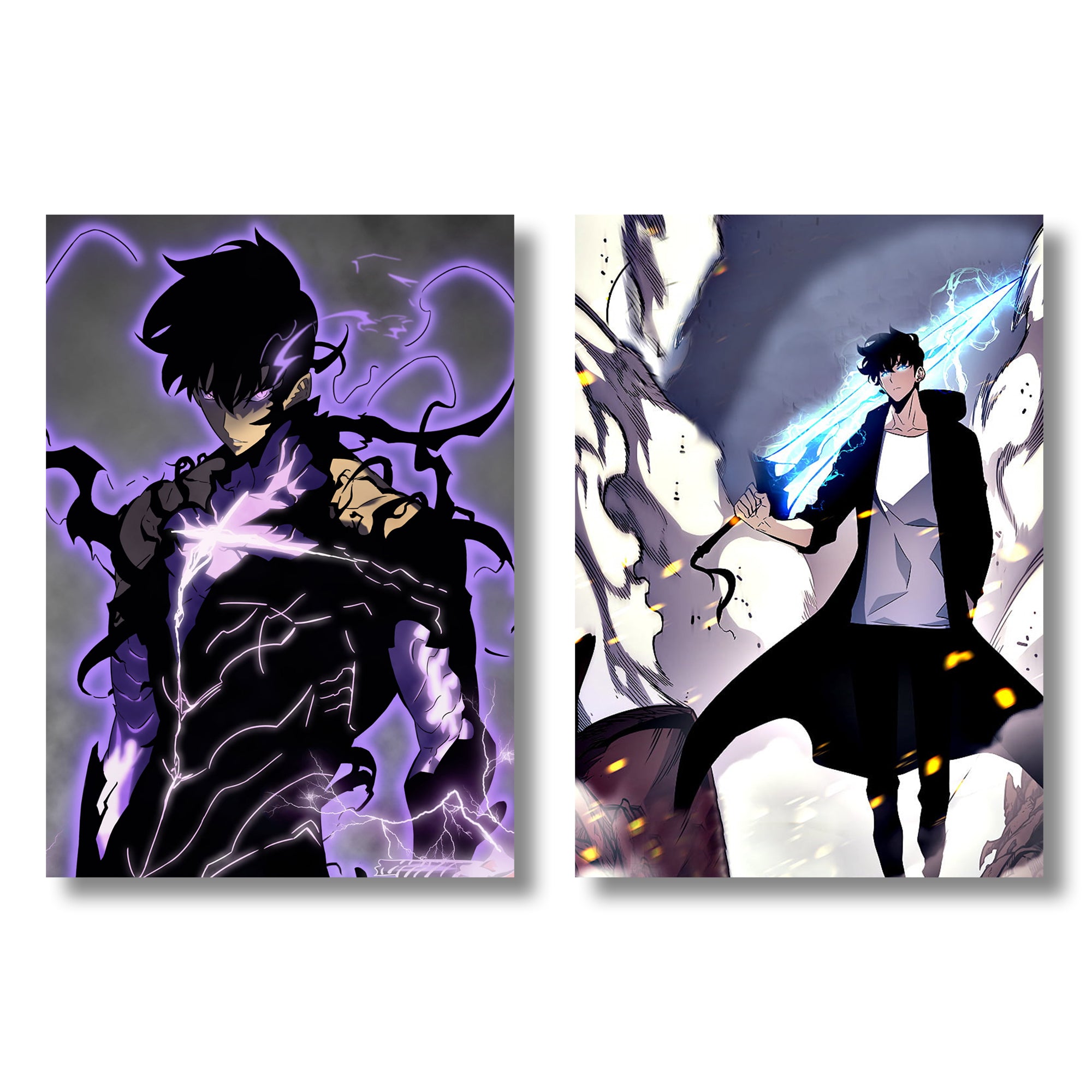 Solo leveling Anime A4 Size Wall posters Set of 5